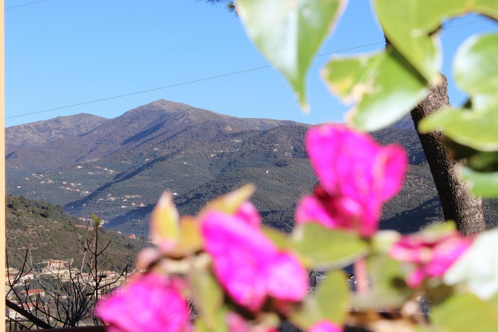 Tenuta Domine Imperia Szoba fotó